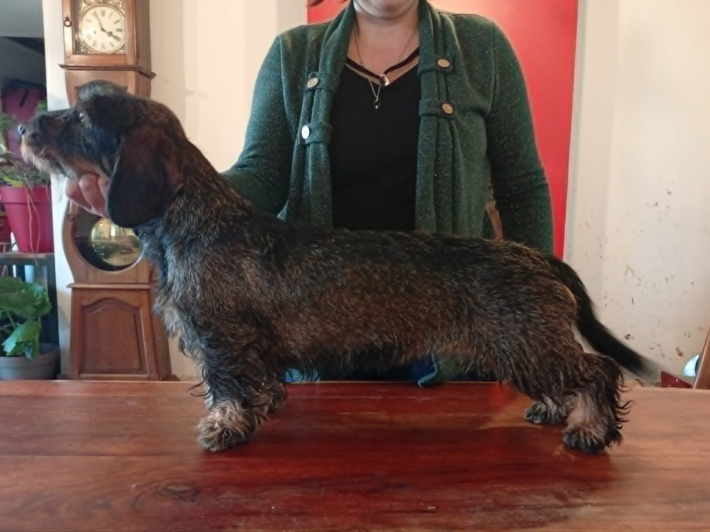 Vaya de la touche aux moines